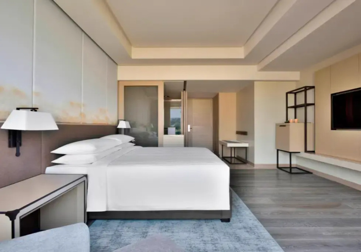 Club Lounge Access Double room
