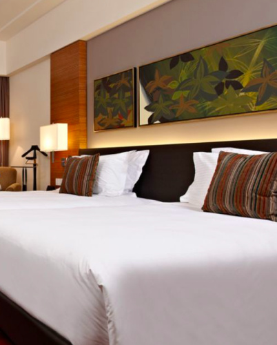 Deluxe Twin Club room