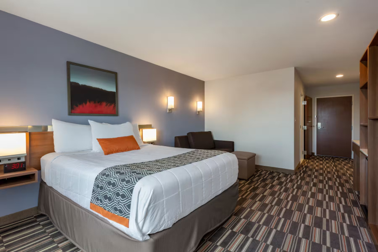 Mobility Accessible Double Studio Suite