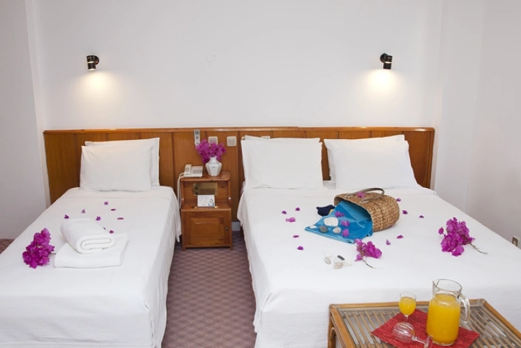 Deluxe Triple room