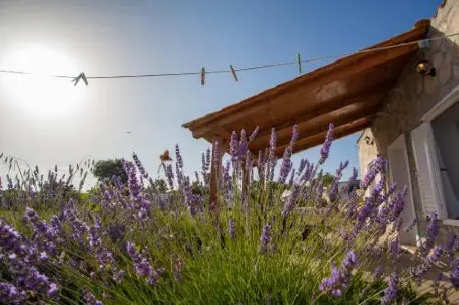 Krcina Holiday Home