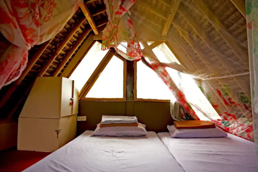 The Rabbit Tree - Hostel