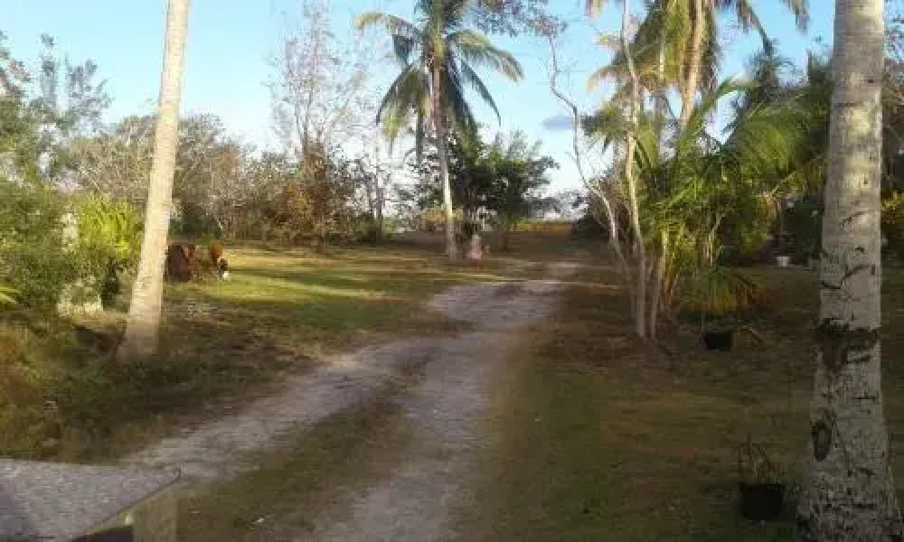 Paradise Creek Cottages
