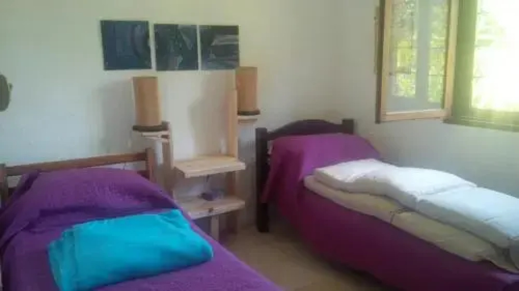 Las Palmeras