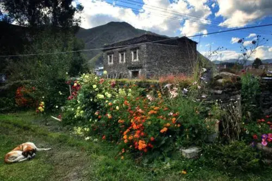 Xinduqiao Yak International Youth Hostel