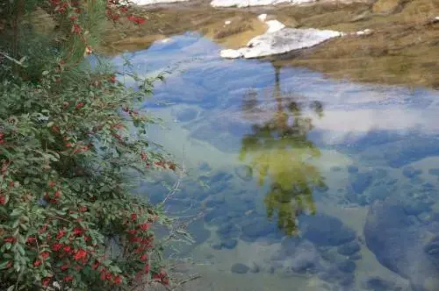 Serranias Del Tabaquillo