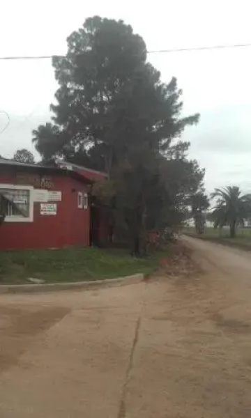 La Casa de los Pinos