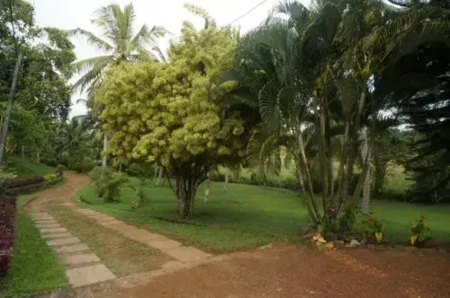 Greengarden Bungalow
