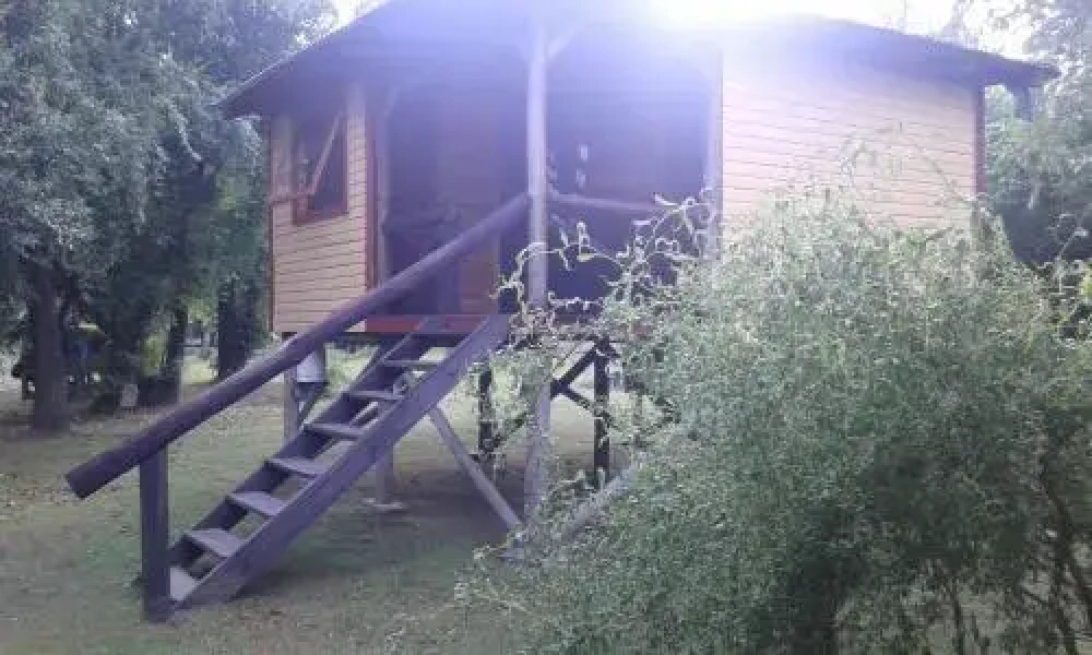 Cabañas Con Con