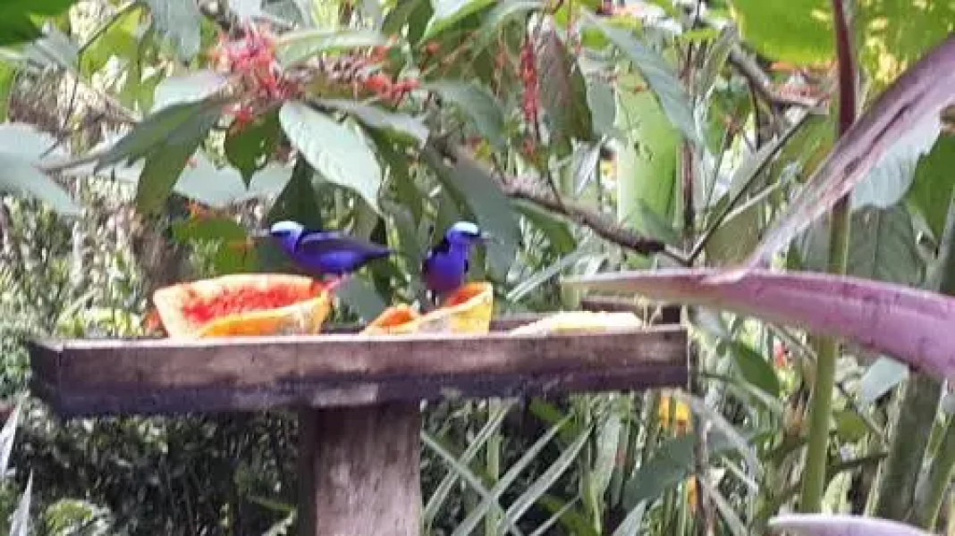 Hotel Roca Negra Del Arenal