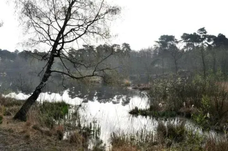 De Waterput