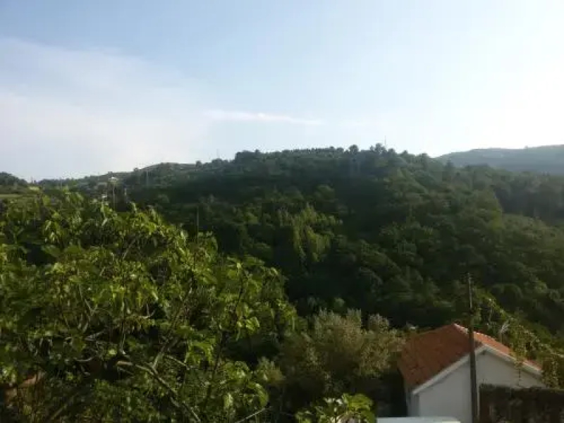 Quinta Encosta do Marao