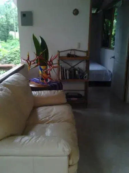 Osa de Rio