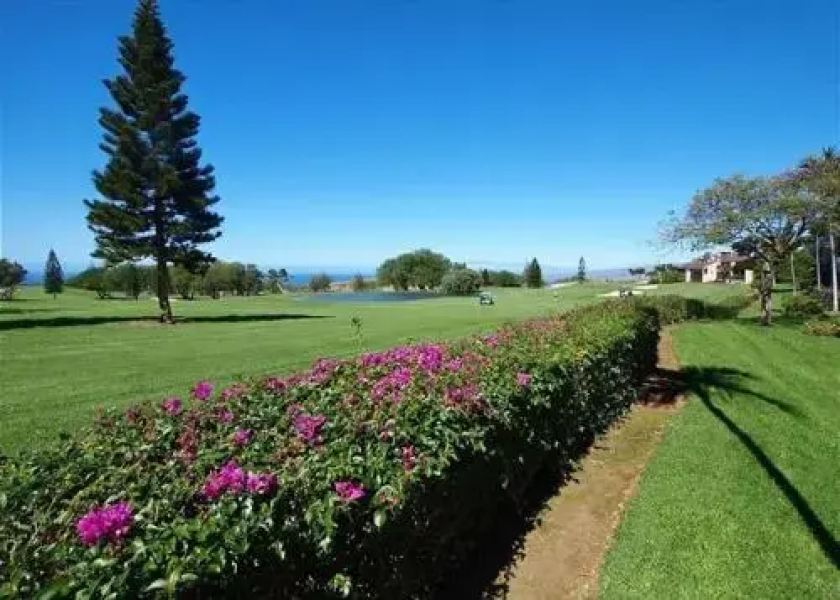 Waikoloa Fairways A110