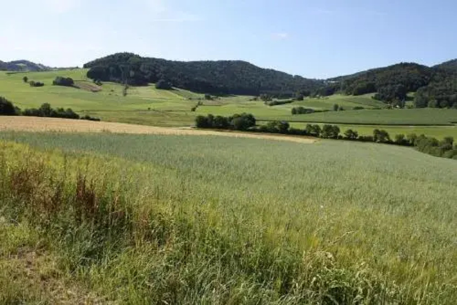 Ferienhaus Natur