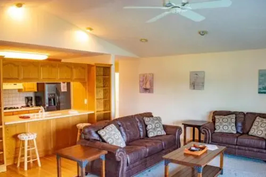 The Lake House Dandridge - 3 Br Cabin