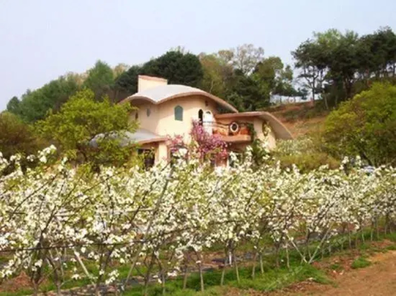 Greentopia pension