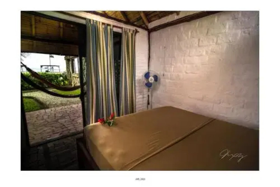 La Tortuga Hostal
