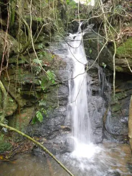 Chalés Serrinha do Papagaio