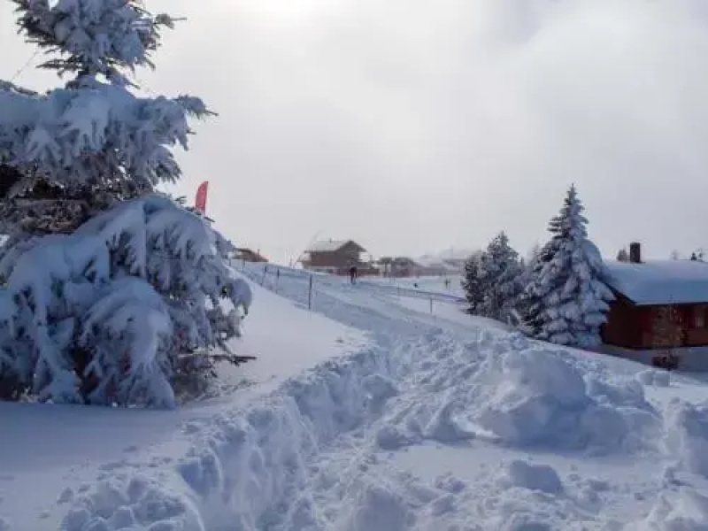 Chalet Panorama