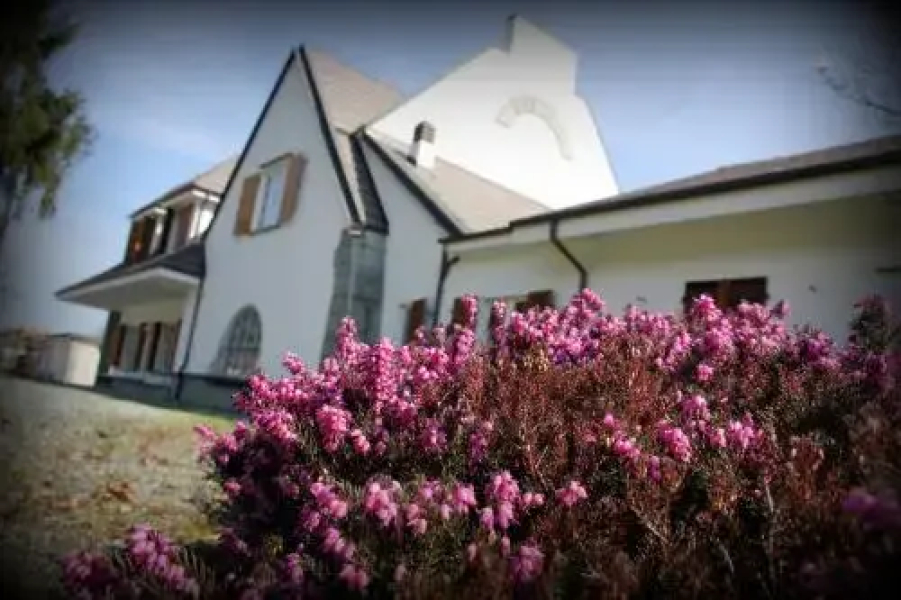 Blu Lavanda Bed & Breakfast