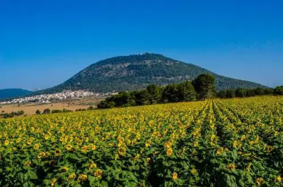 Galilee Best Location