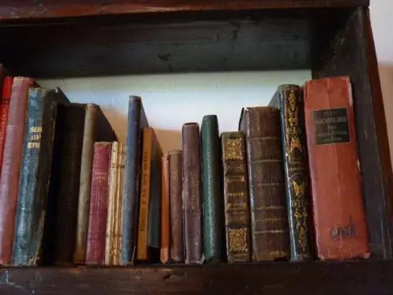 Agriturismo La Pineta