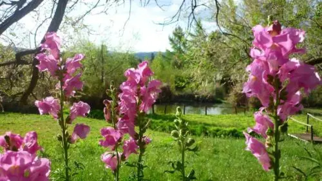 Hostería Rural Monte Bérico