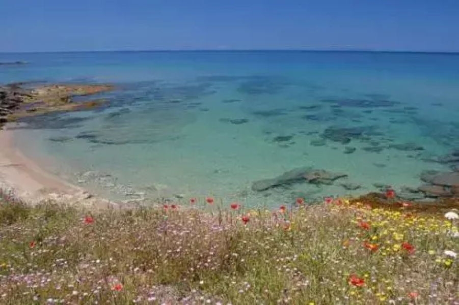 B&B da Caddalina