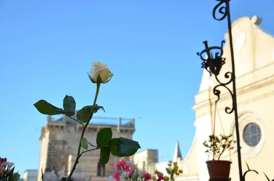 Apulia '800