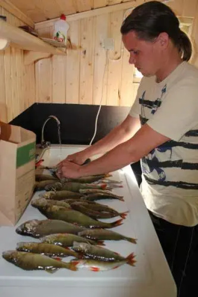 Asuntovuokraus Poimu