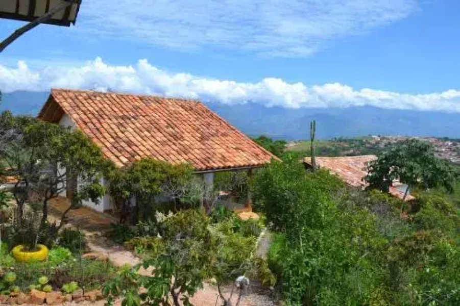 Zuasinca