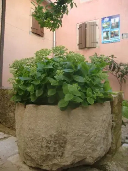 Bed & Breakfast Antico