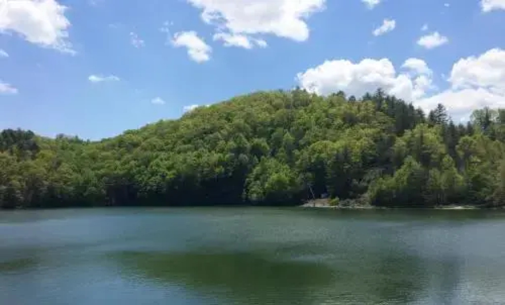 Wolf Creek Lake Cabins - Oakview Cabin
