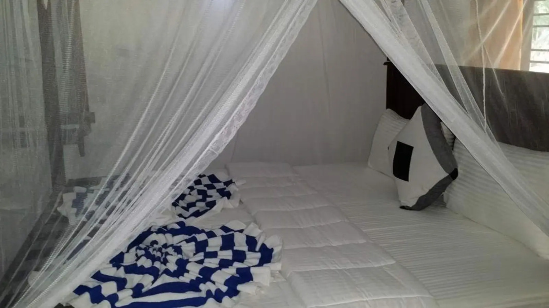 Eco Beach Home Stay