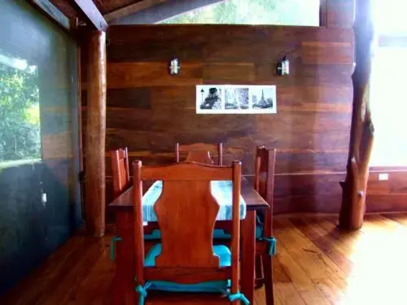 casa arbol