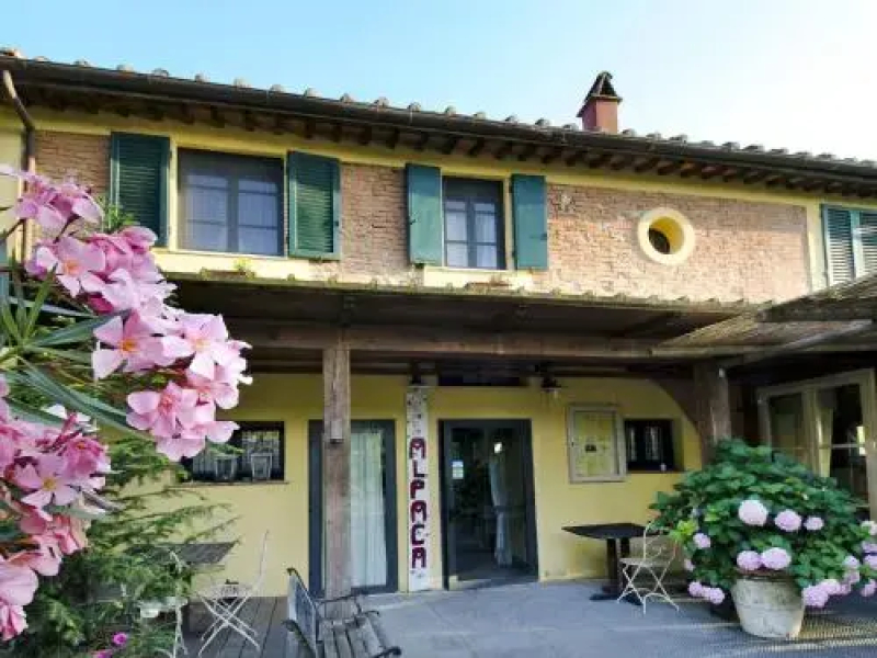 Alpaca Country House