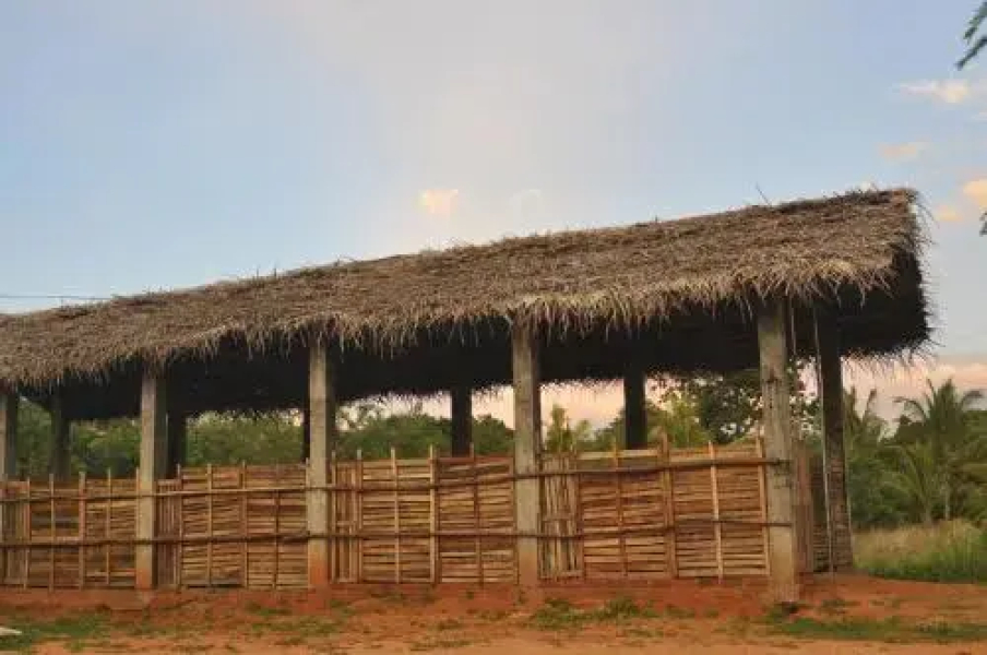 Wadiya Tourist Guest House