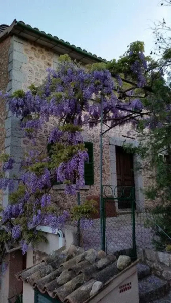 Can Guixa