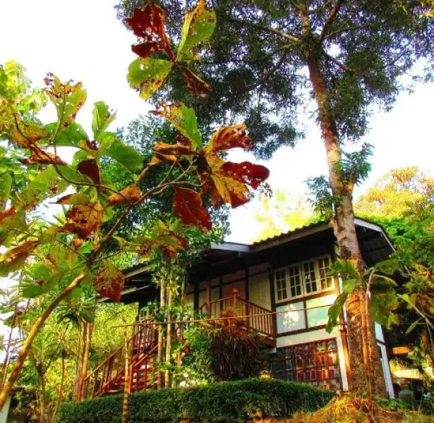 One@Nature, Mae Rim