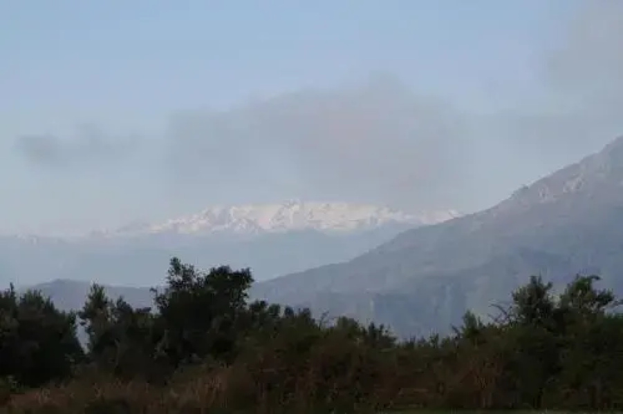 Kallista 2