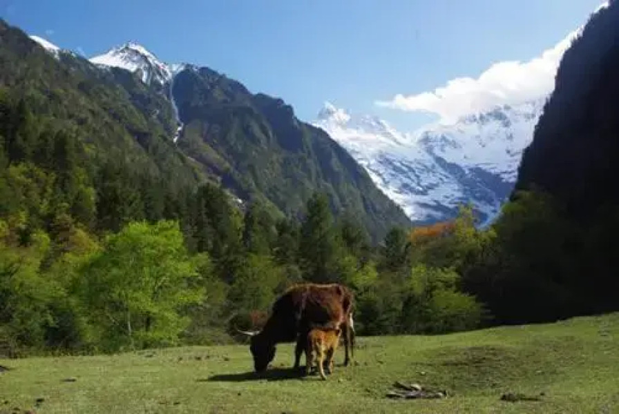 Yubeng No.1 Guanjing Inn
