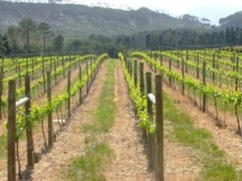 Elgin Vintners Manor House