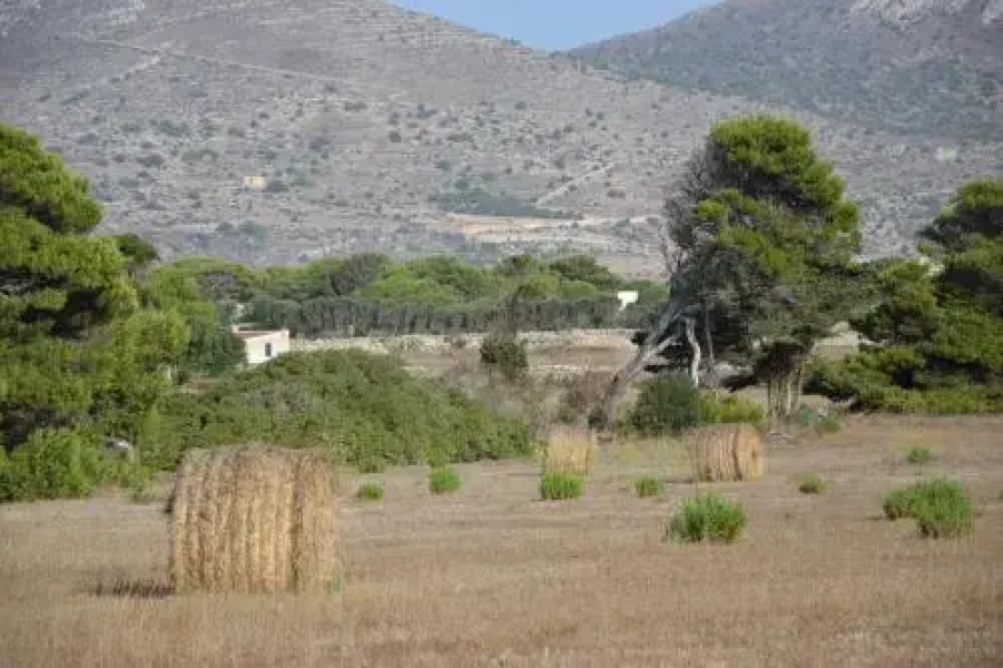 Appartamenti la Pinetina di Favignana