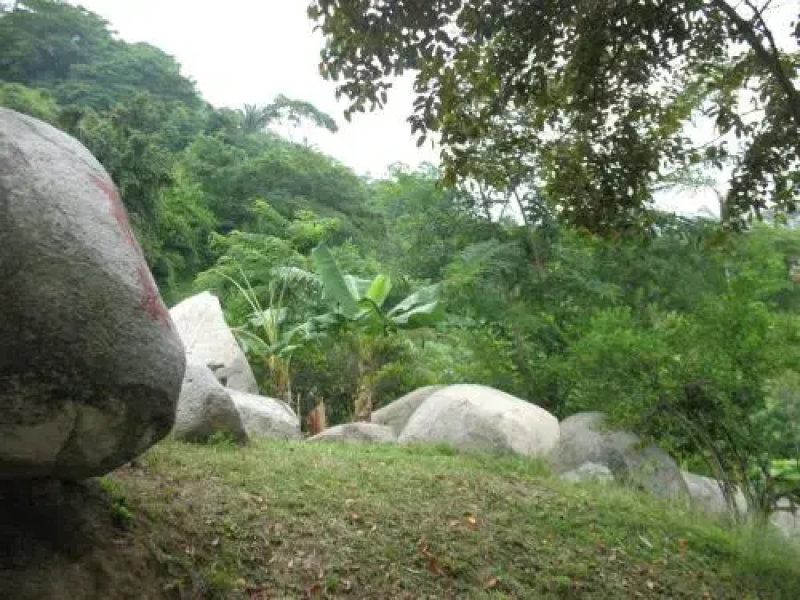 Hostel Finca La Gordita