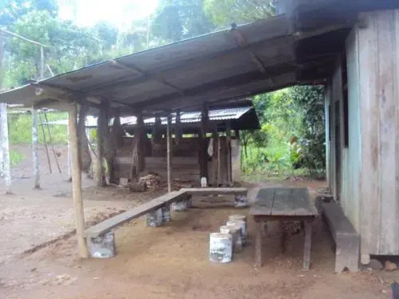 Conservación Ecológica Yampinkia