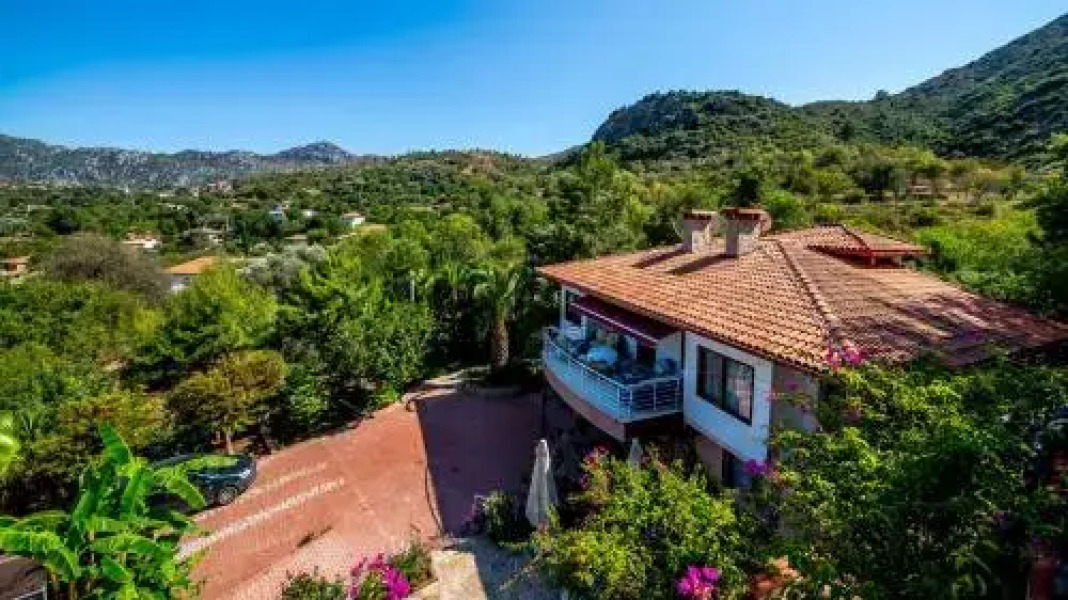 Palmetto Vip Villa
