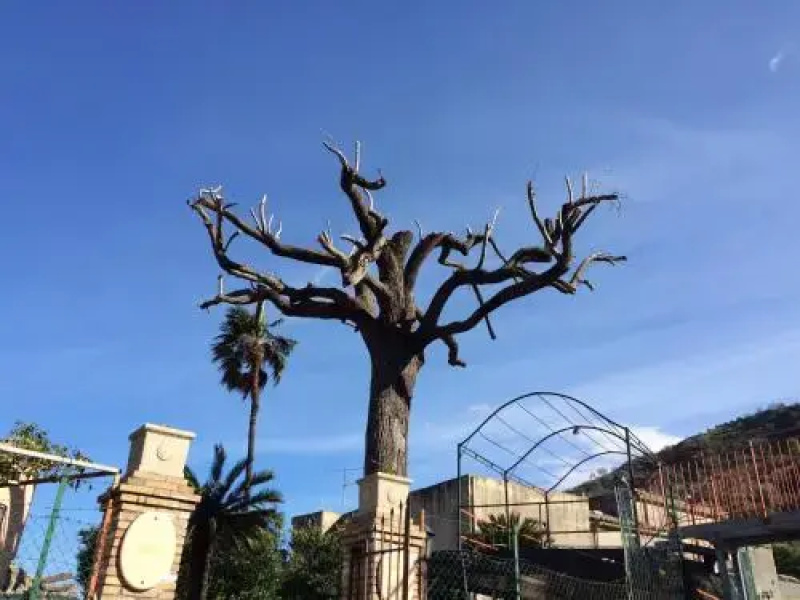 Alla Casa di Antonio