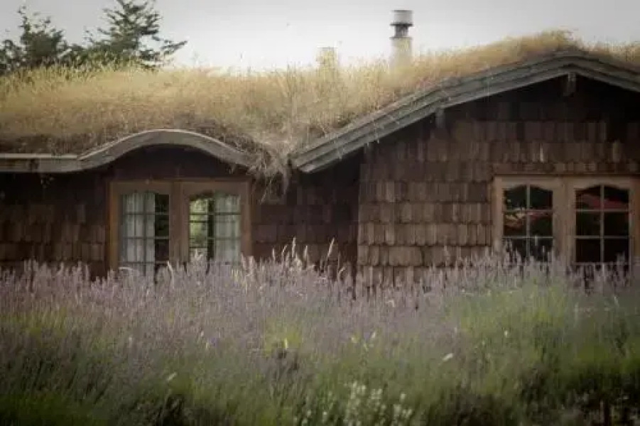 Hostal Zapato Amarillo