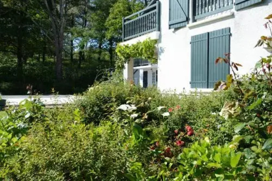 Golfetmer Studio